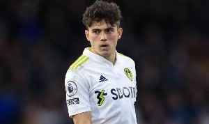 开云下载-英冠赛季最佳教练&amp;球员候选出炉：三强包圆！詹姆斯&amp;特拉福德在列