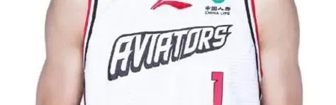 开云APP-打郭晓鹏费劲？麦迪CBA表现大揭秘