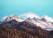 云开体育app登录入口——开启你的极致体育体验